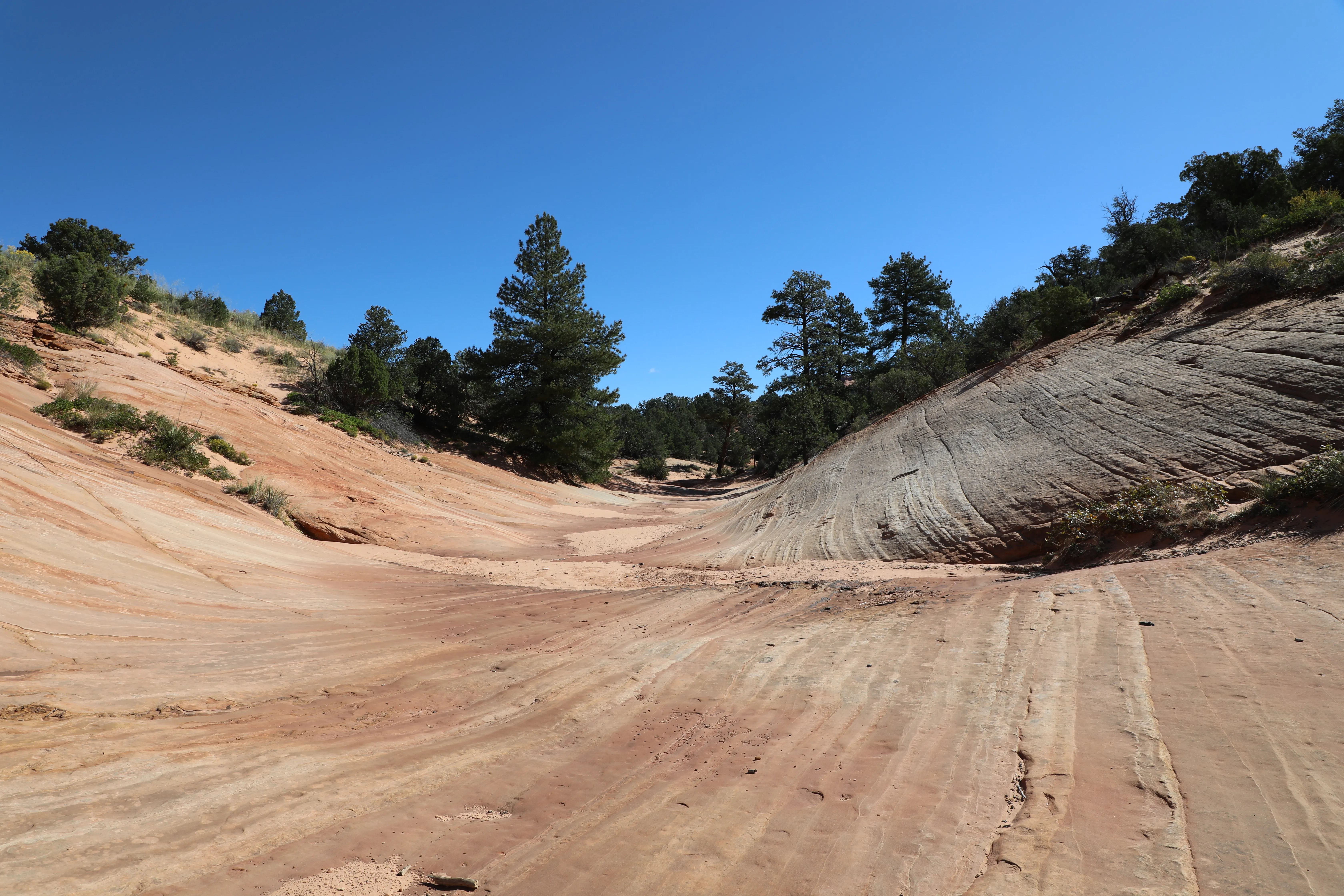 See Dinosaur Tracks at the Moccasin Mountain Dinosaur Tracksite