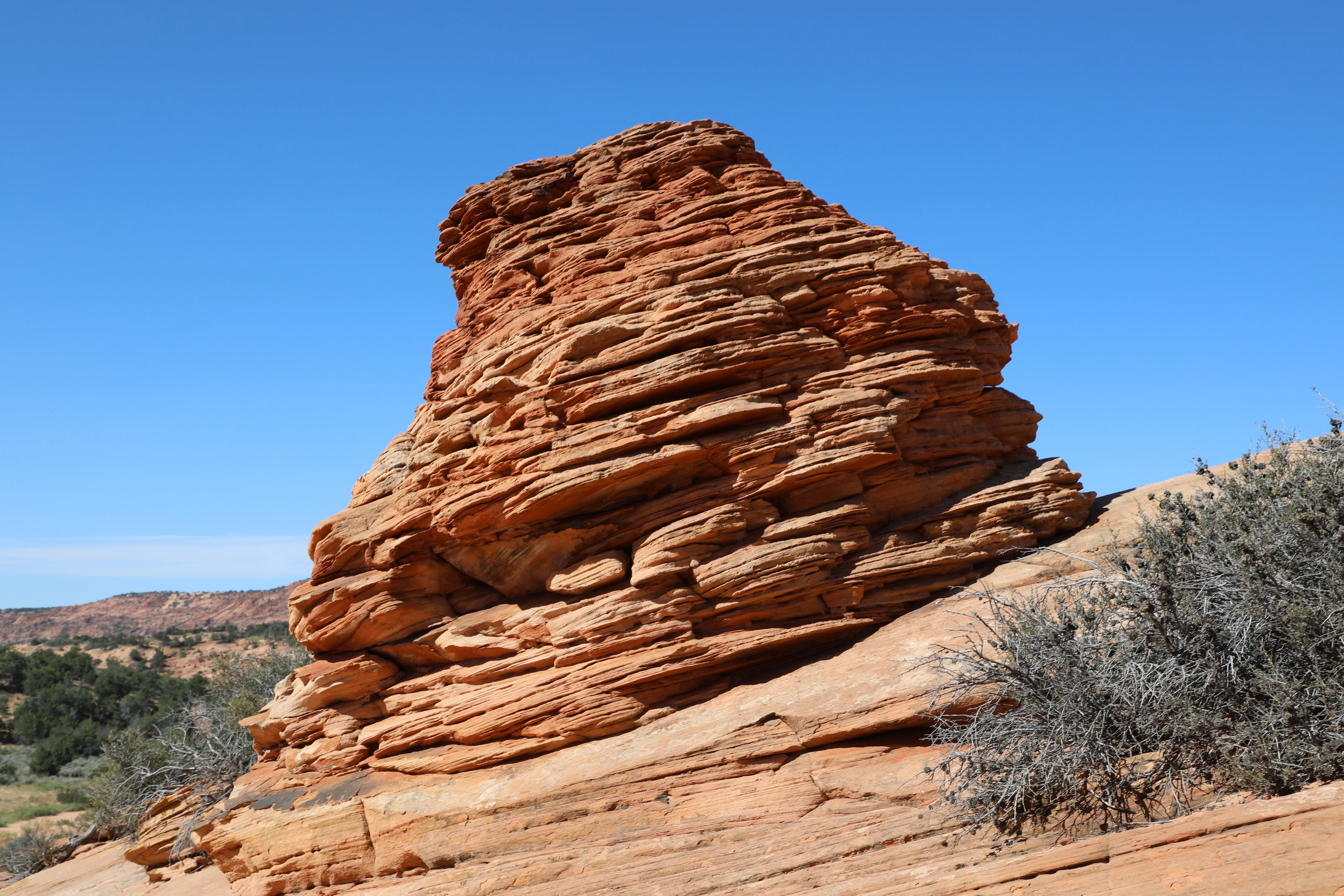 See Dinosaur Tracks at the Moccasin Mountain Dinosaur Tracksite