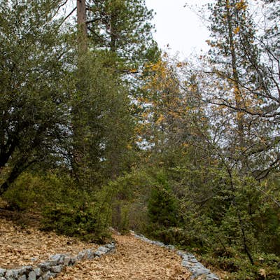 Lake Fulmor Loop Trail