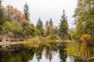 Lake Fulmor Loop Trail
