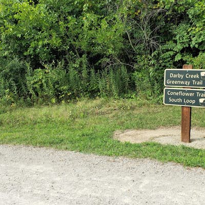 Hike the Darby Creek Trail