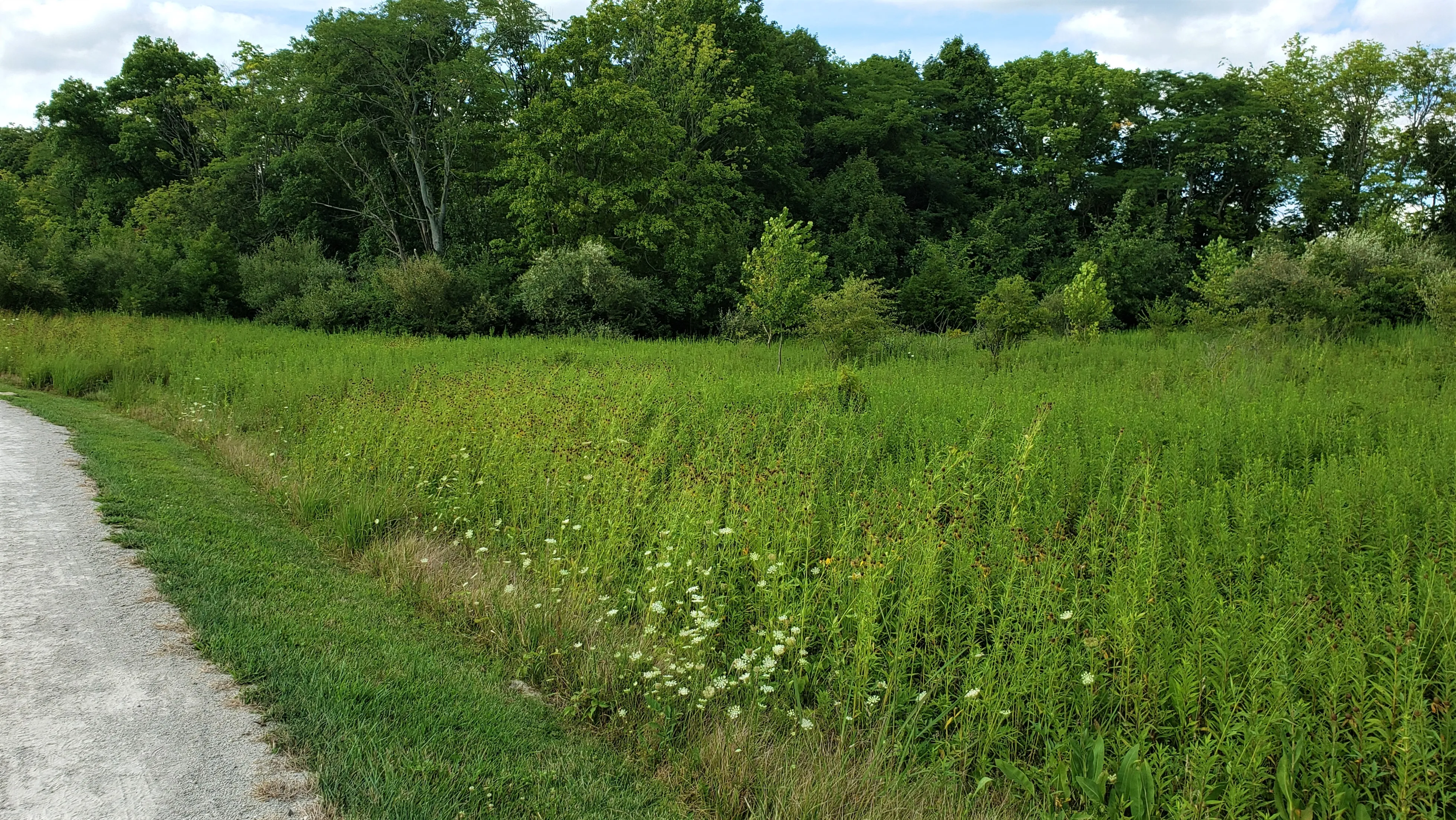 Hike the Darby Creek Trail