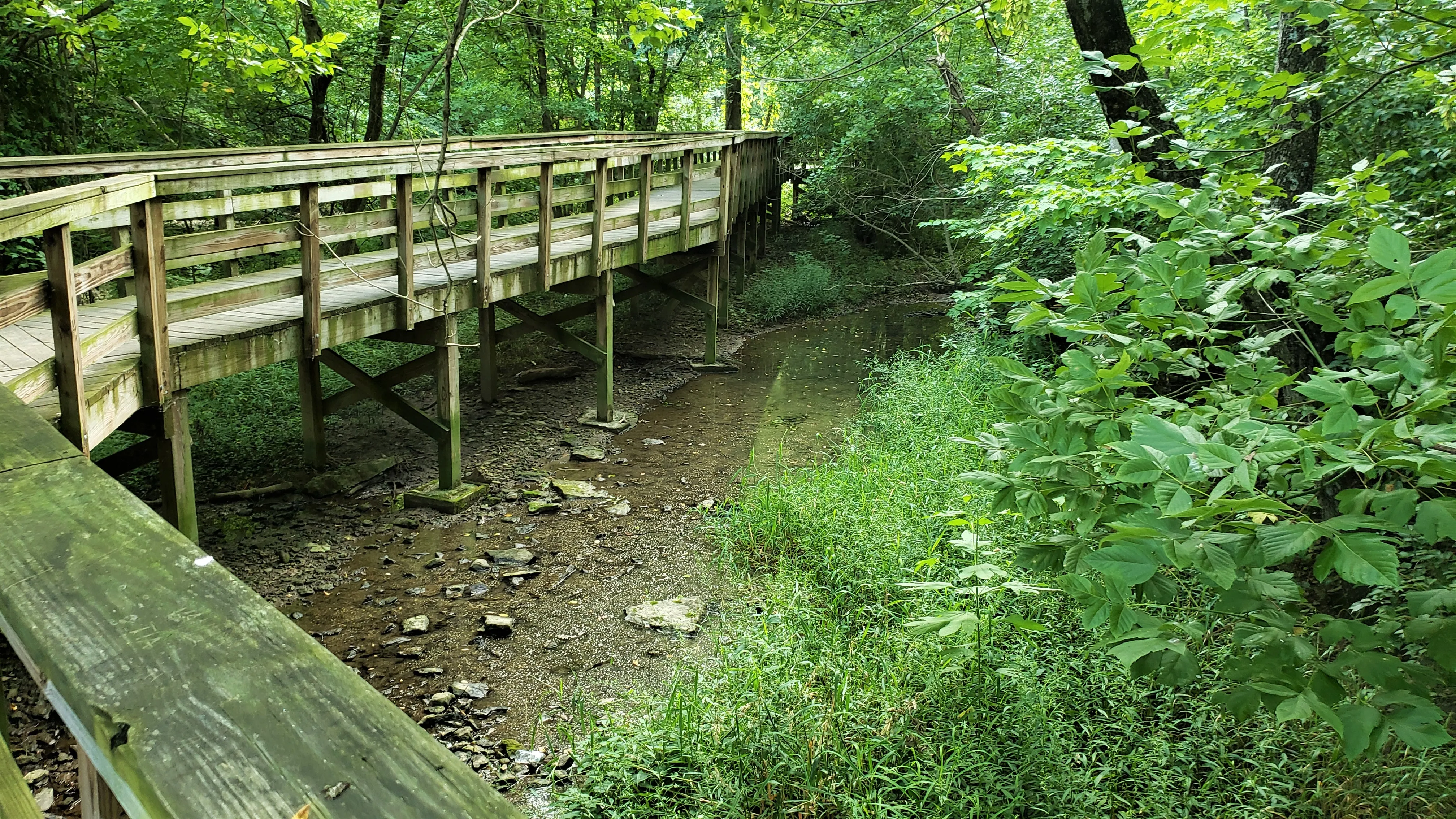 Photograph Hayden Run Falls