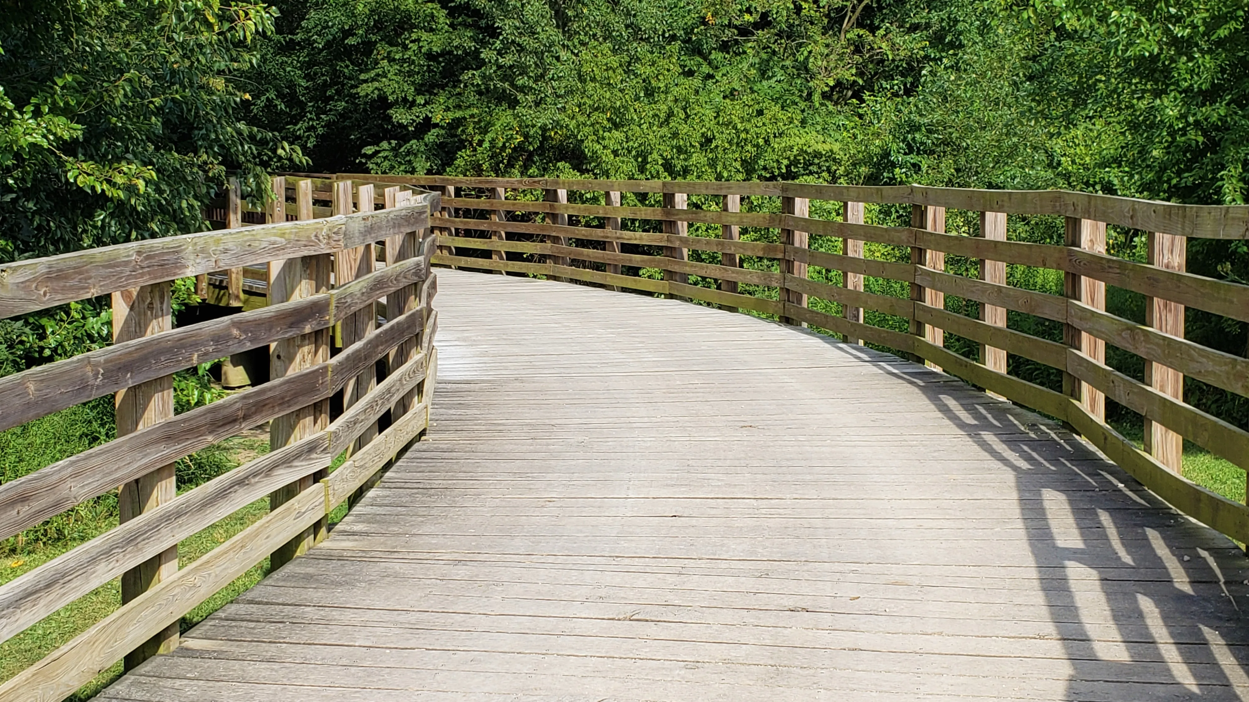 Hike the Darby Creek Trail