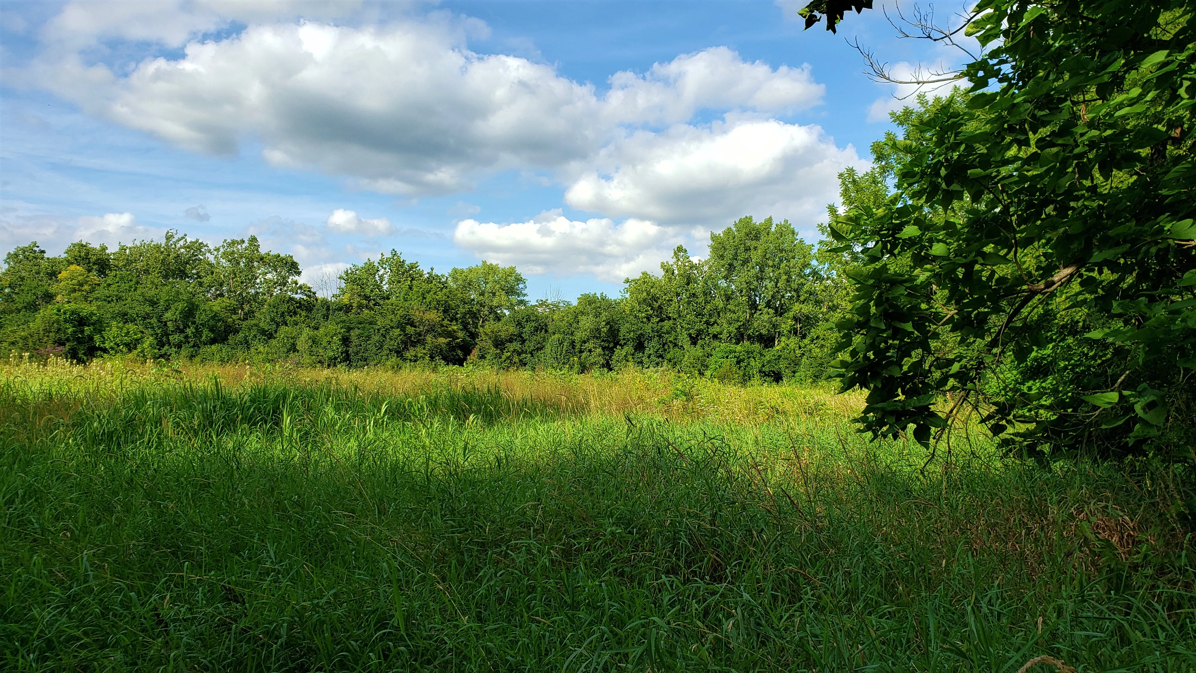 Hike the Darby Creek Trail