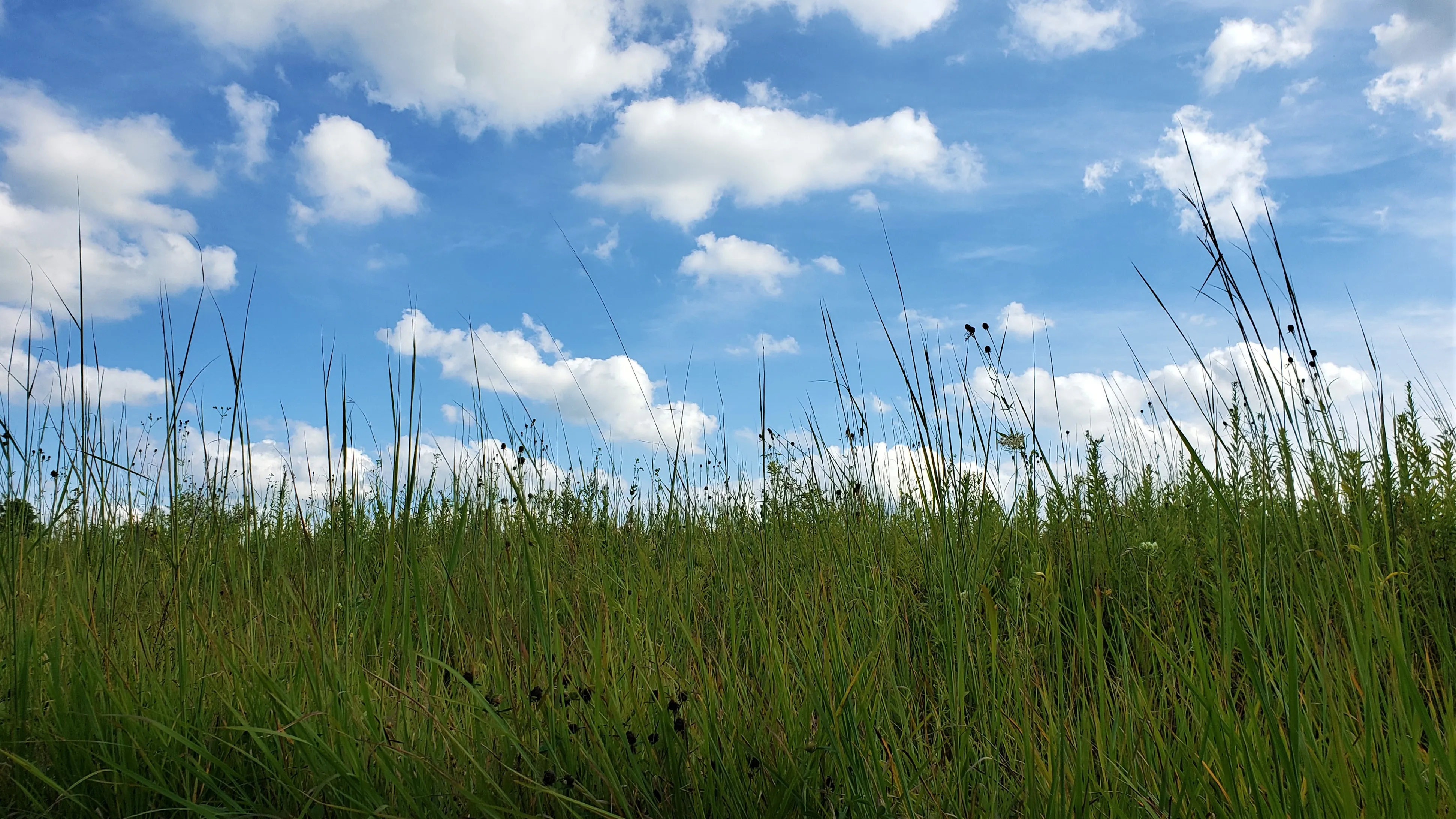 Hike the Darby Creek Trail