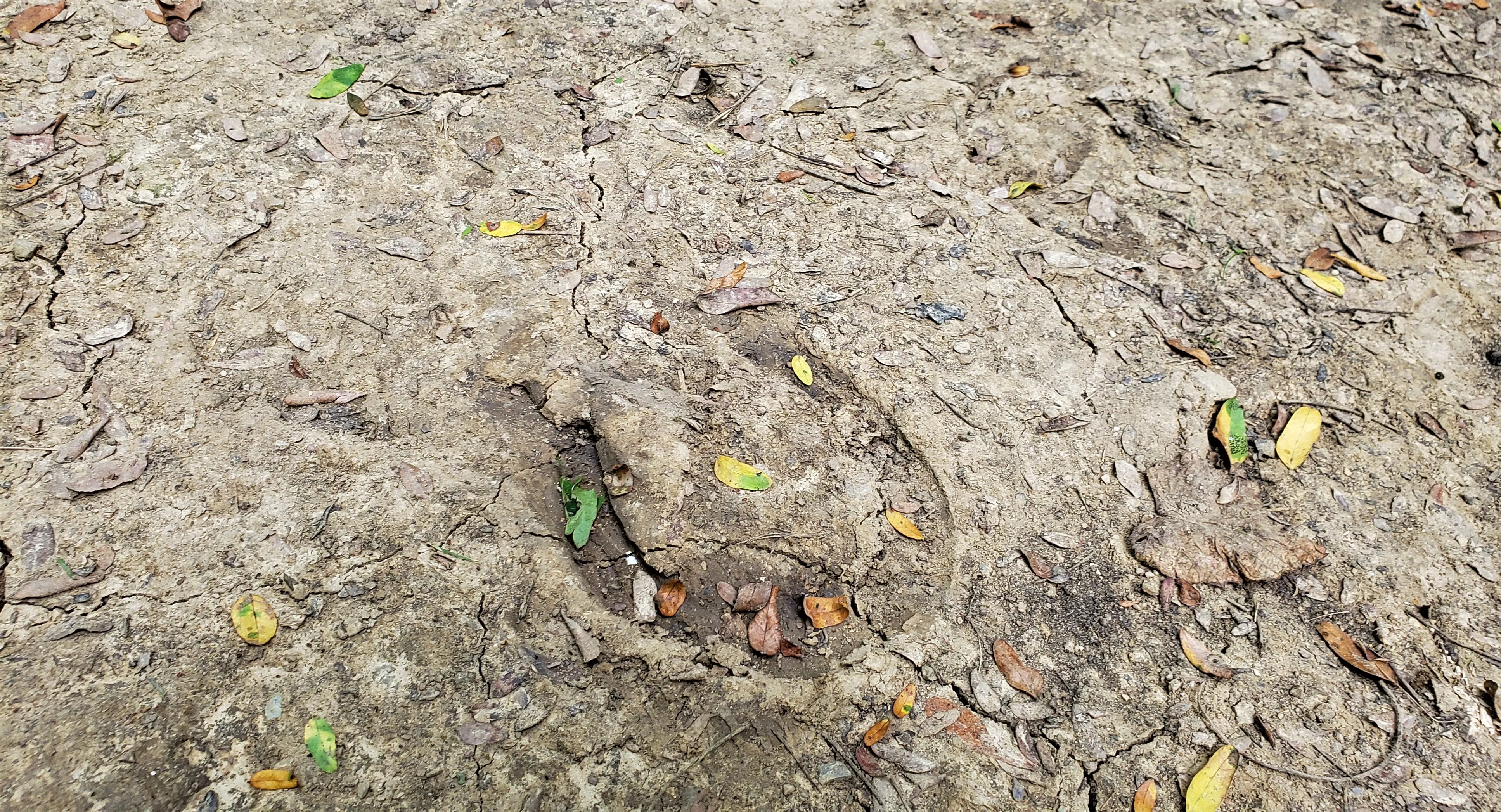 Hike the Darby Creek Trail