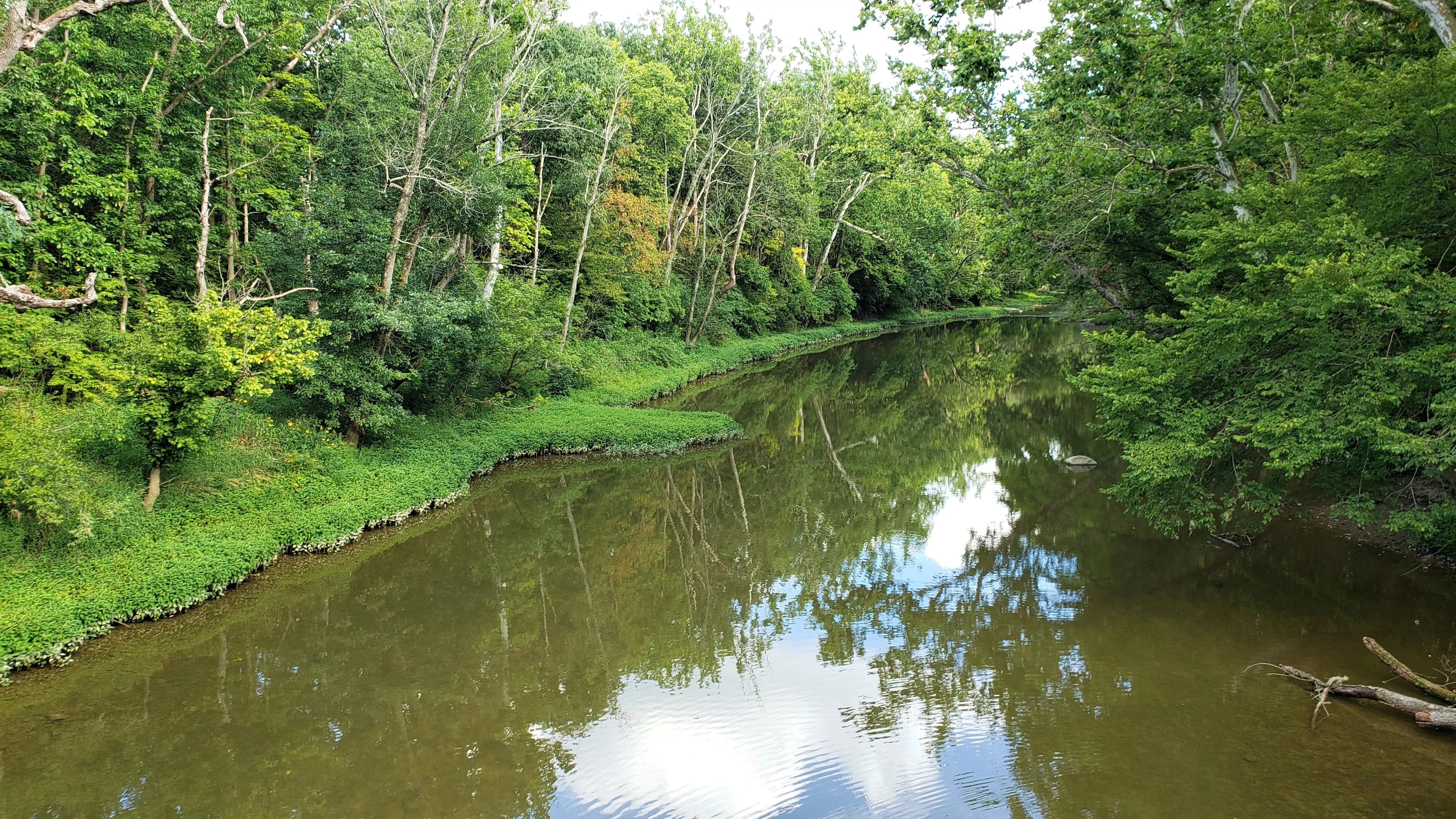 Hike the Darby Creek Trail