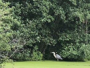 Explore Bluegill Bay County Park