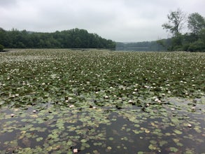 Hike the Lenape and Boone Trail Loop at French Creek State Park