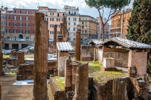 Visit the Ruins of Largo di Torre Argentina