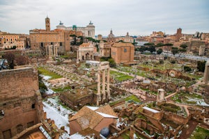 Explore the Ruins of the Roman Forum & Palatine Hill