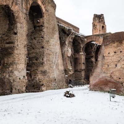 Explore the Ruins of the Roman Forum & Palatine Hill