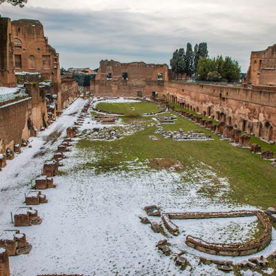 Explore the Ruins of the Roman Forum & Palatine Hill