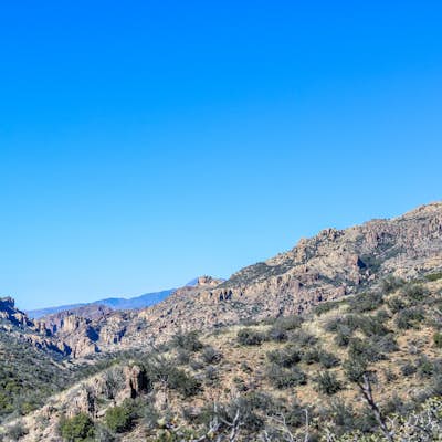 Hike Rogers Canyon Trail