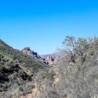 Hike Rogers Canyon Trail