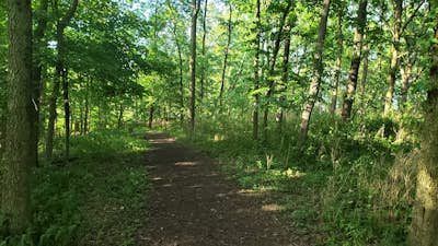 Hike the Stone's Throw Trail