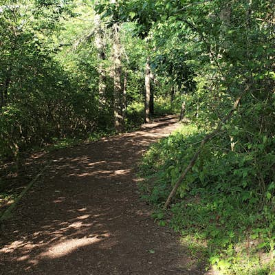 Hike the Stone's Throw Trail