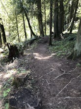 Trail Tips & Tricks for the Beginner Hiker