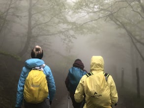 Hike across the Pyrenees via the Camino Frances