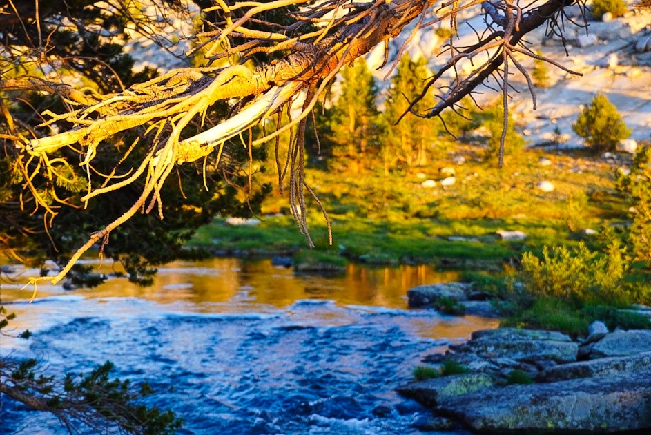  Backpacking the Eastern Sierra s Evolution Loop