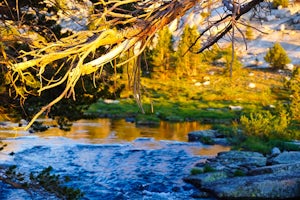 Backpacking the Eastern Sierra's Evolution Loop