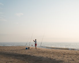 Surf Fish Bethany Beach