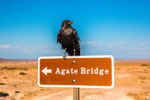 Photograph the Agate Bridge