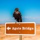 Photograph the Agate Bridge