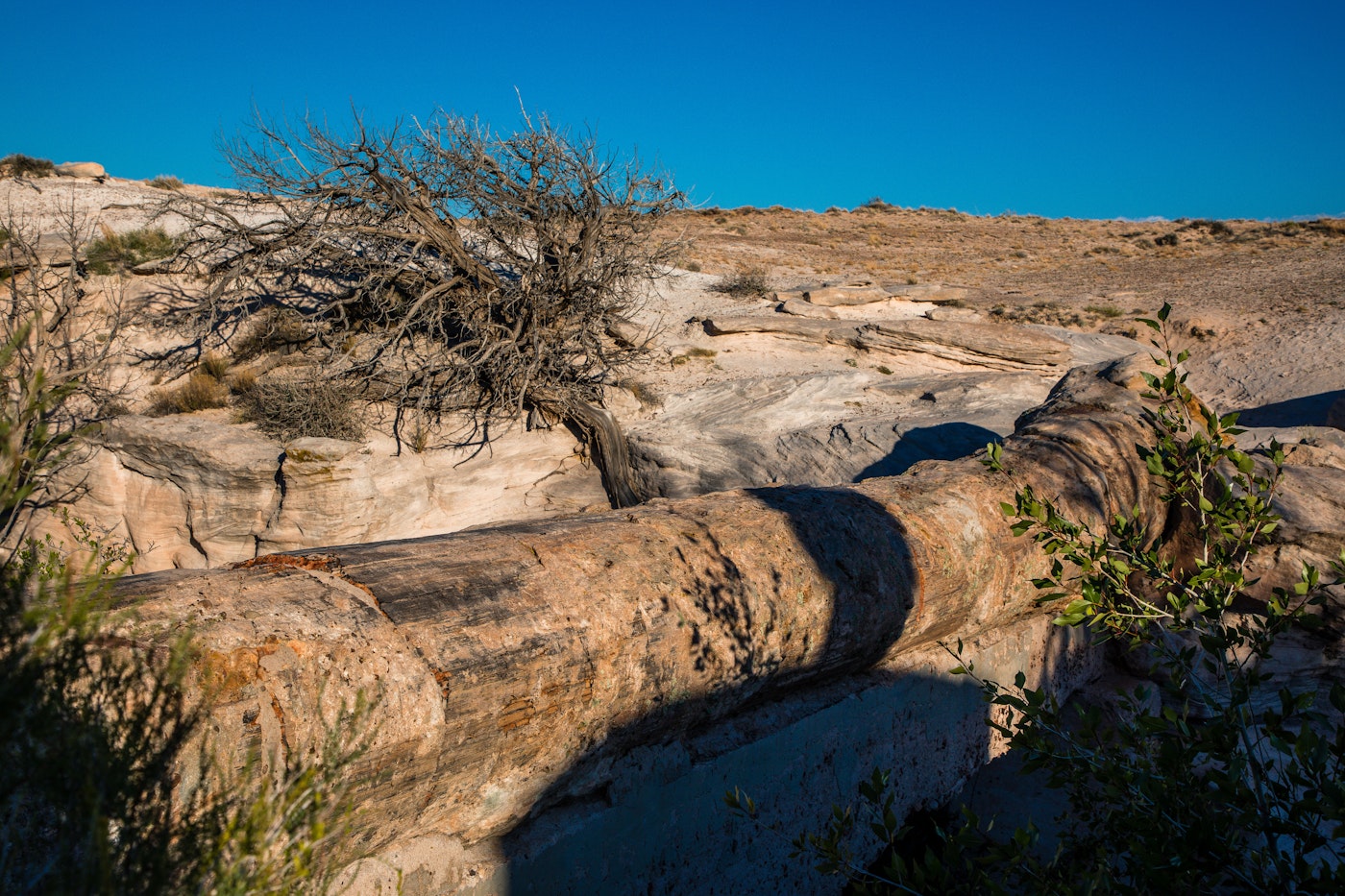 Photo of Photograph the Agate Bridge