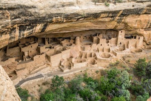 Hike the Cliff Palace Loop Trail 