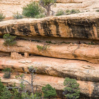 Hike the Petroglyph Point Trail