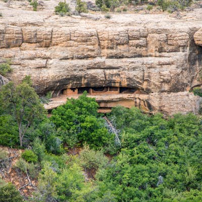 Hike the Cliff Palace Loop Trail 