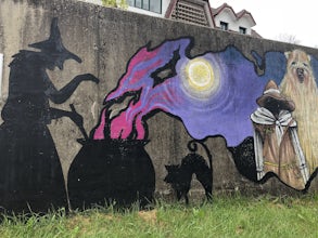 Explore the Forest of Witches via Camino de Santiago