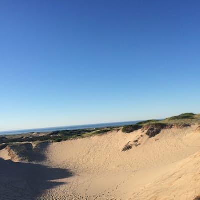 Hike Provincetown Dunes on the Cape Cod National Seashore