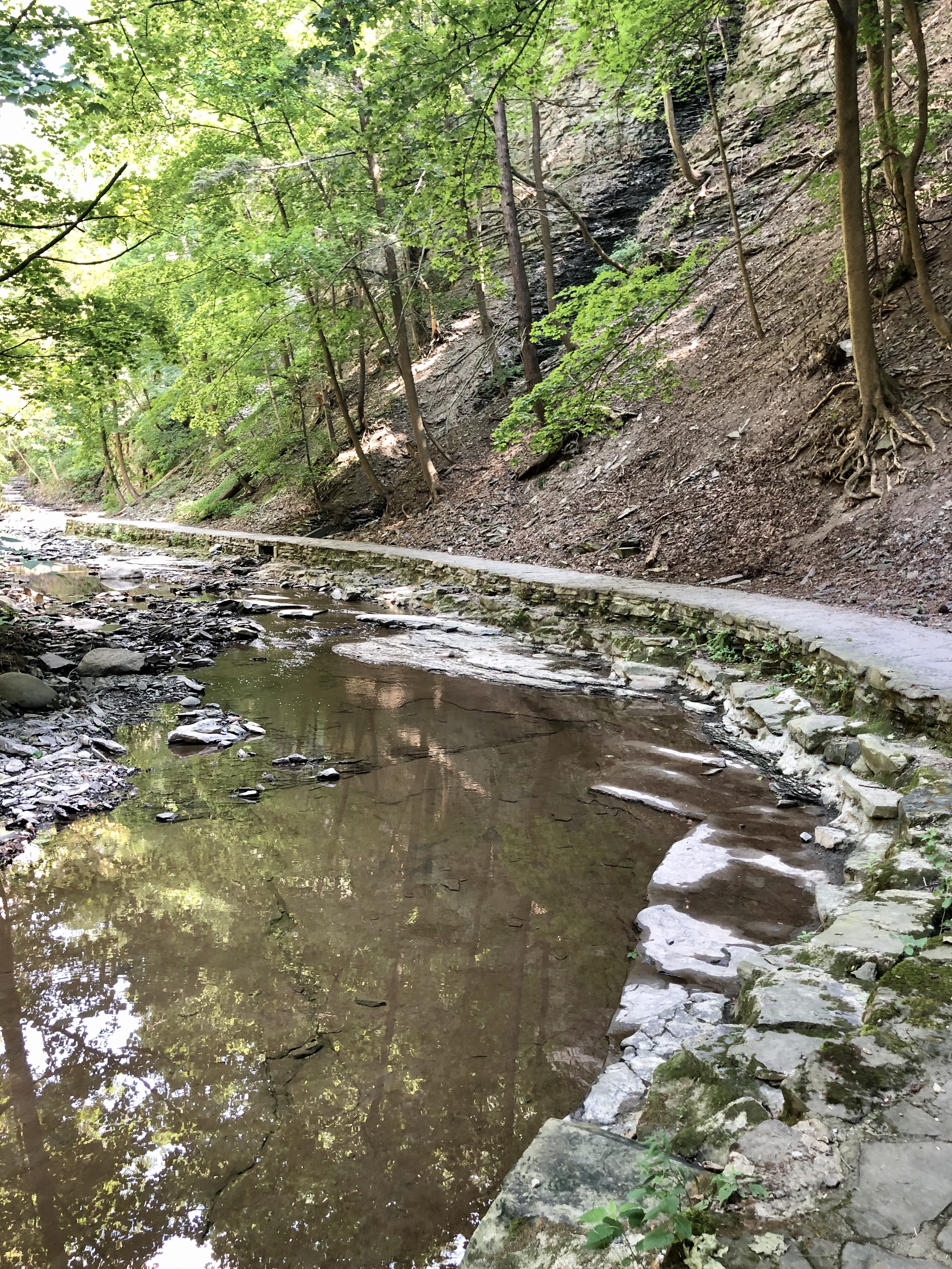 Hike the  Cascadilla Gorge Trail