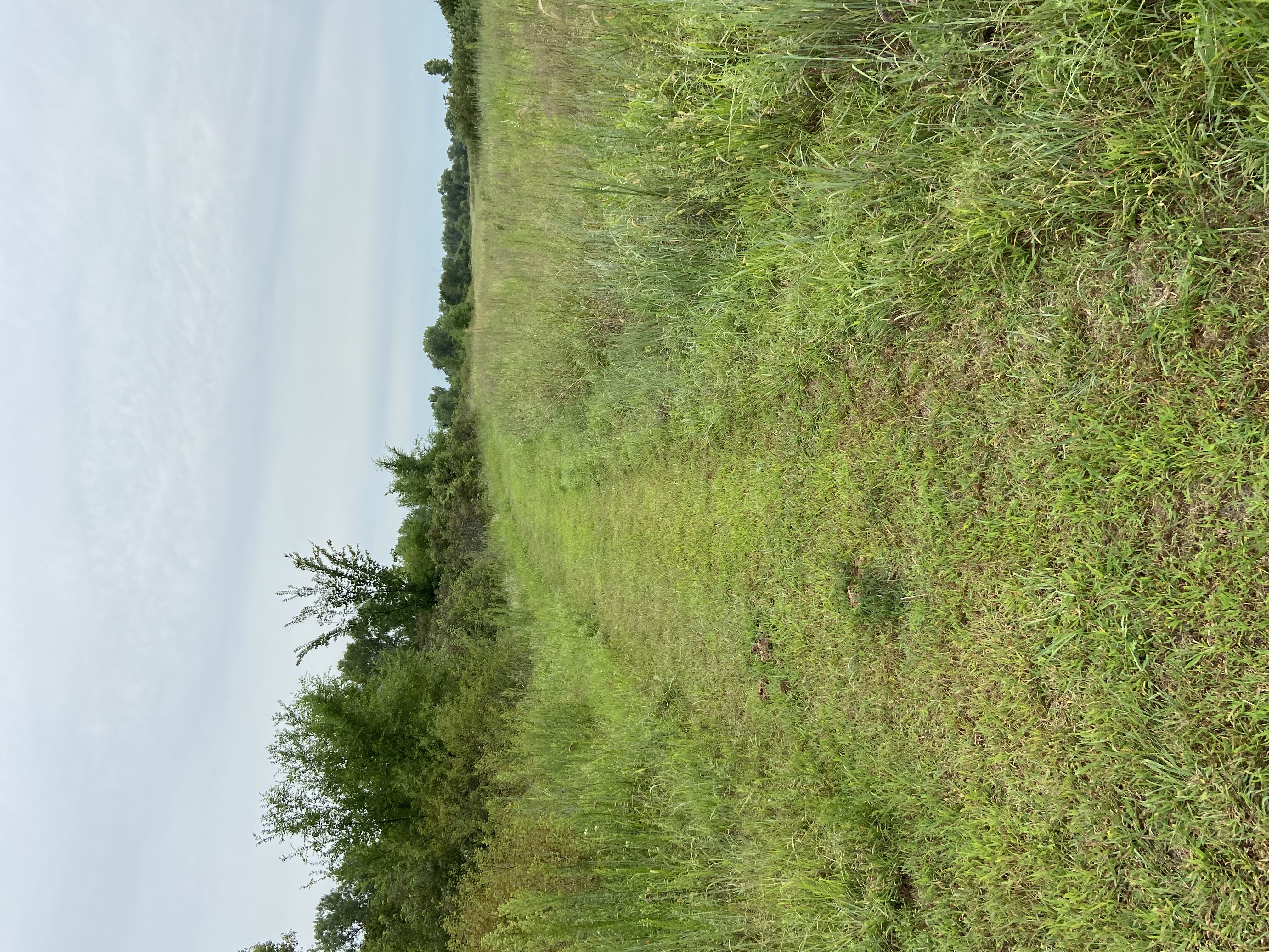 Hike Sand Hills Pond Trail