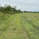 Hike Sand Hills Pond Trail