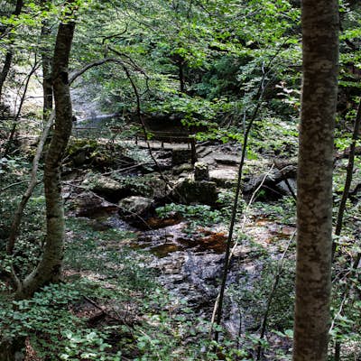 Hike to Livaditis Waterfall