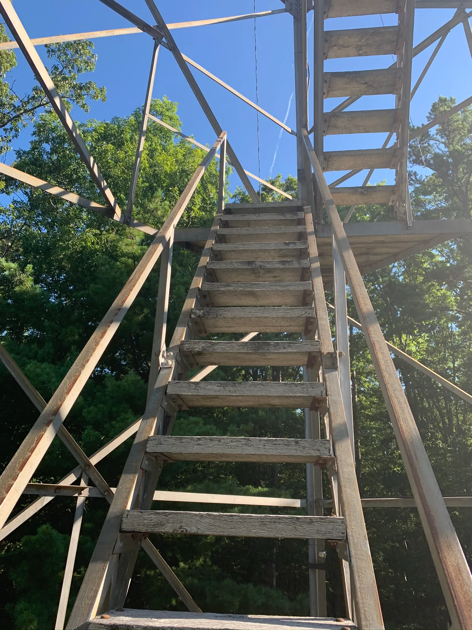 Explore Pickett State Fire Tower 