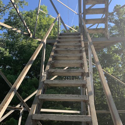 Explore Pickett State Fire Tower 