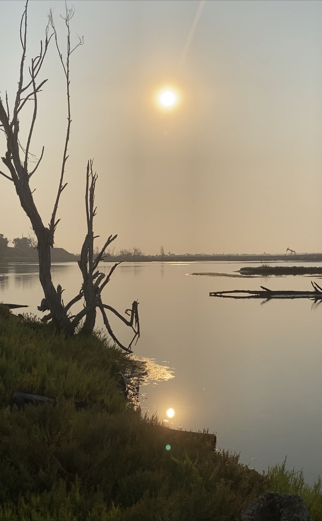Bolsa Chica Ecological Reserve Trail