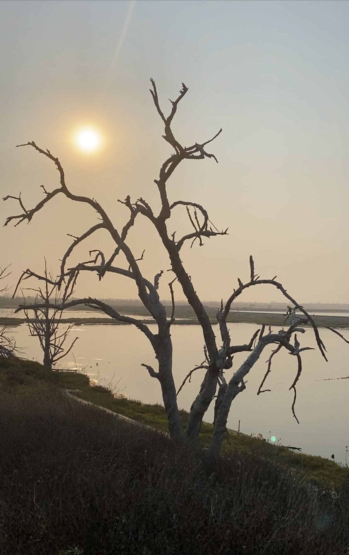 Bolsa Chica Ecological Reserve Trail