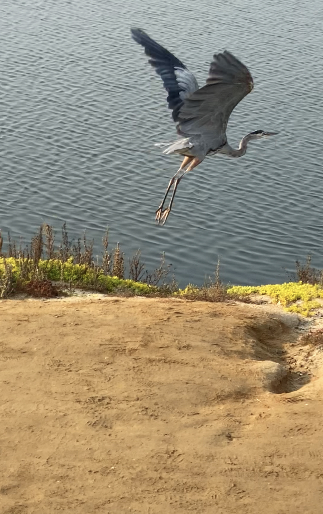 Bolsa Chica Ecological Reserve Trail