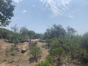 Bolsa Chica Ecological Reserve Trail