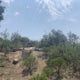 Bolsa Chica Ecological Reserve Trail