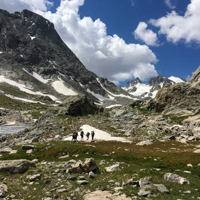 Backpack the Glacier Trail and Summit Gannett Peak
