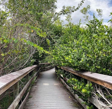 The best Hiking in and near Key Biscayne, Florida