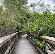 Take a Stroll on the Pa-Hay-Okee Overlook Trail