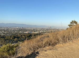 Hike in Kenneth Hahn Recreation Area 